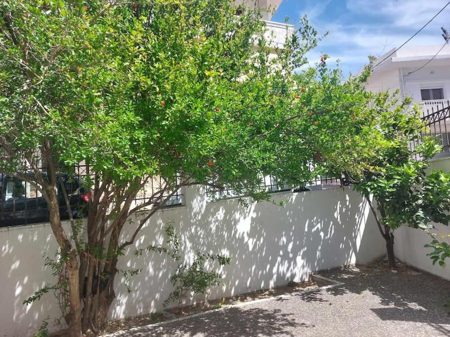 αppartment Appartement *